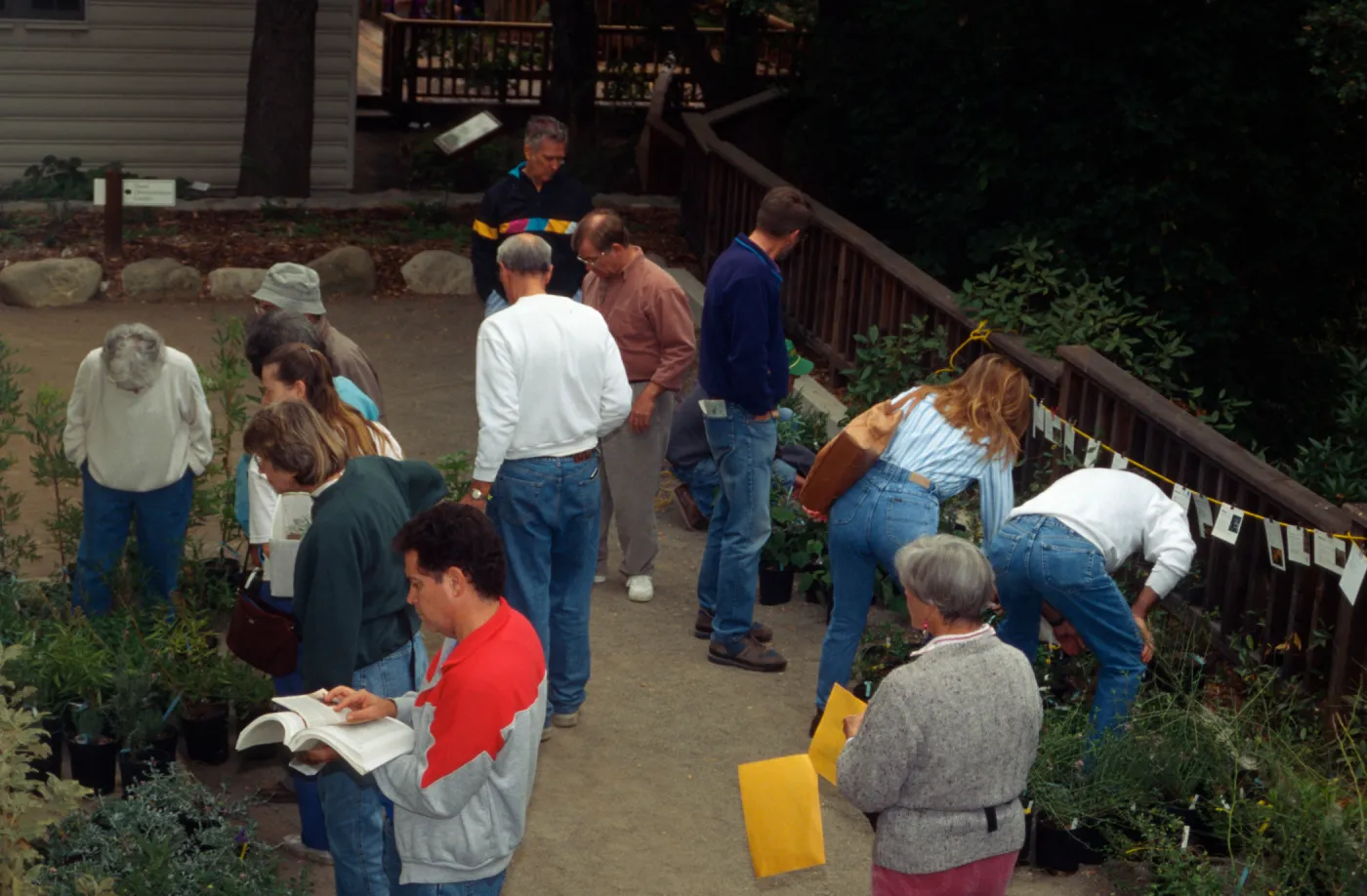 SBBG Fall Plant Sale, 1995