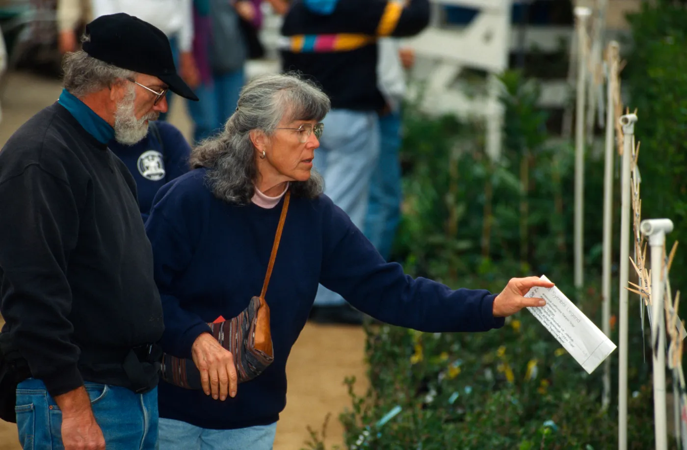 SBBG Fall Plant Sale, 1995