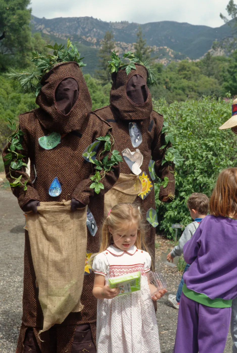 Wildflower Day, 1993