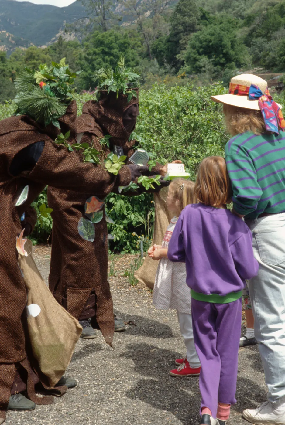 Wildflower Day, 1993