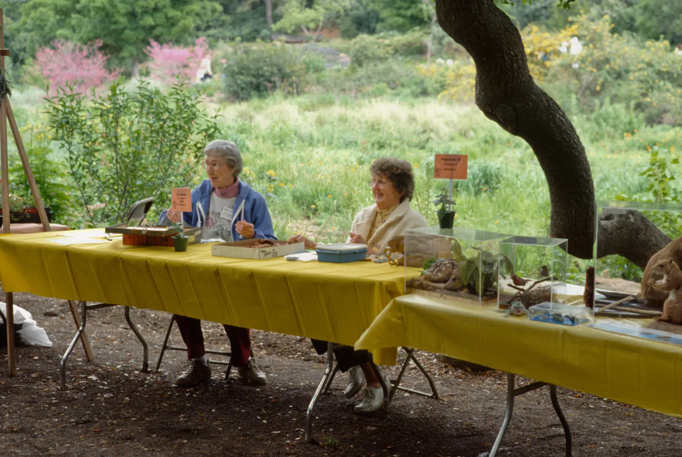 Wildflower Day, 1993