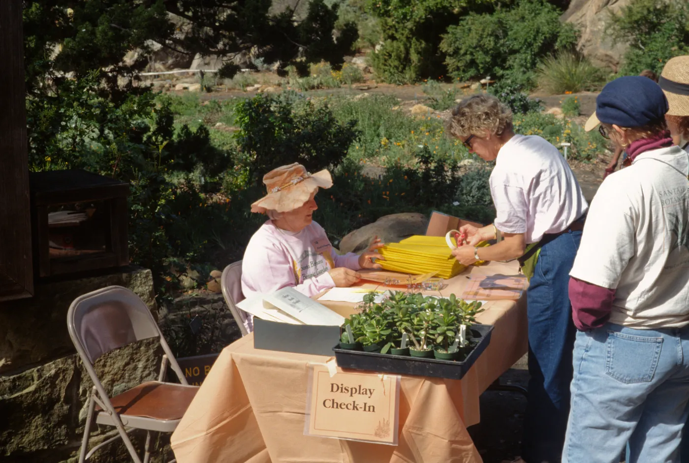 Wildflower Day, 1993
