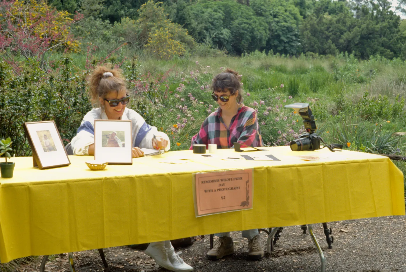 Wildflower Day, 1993