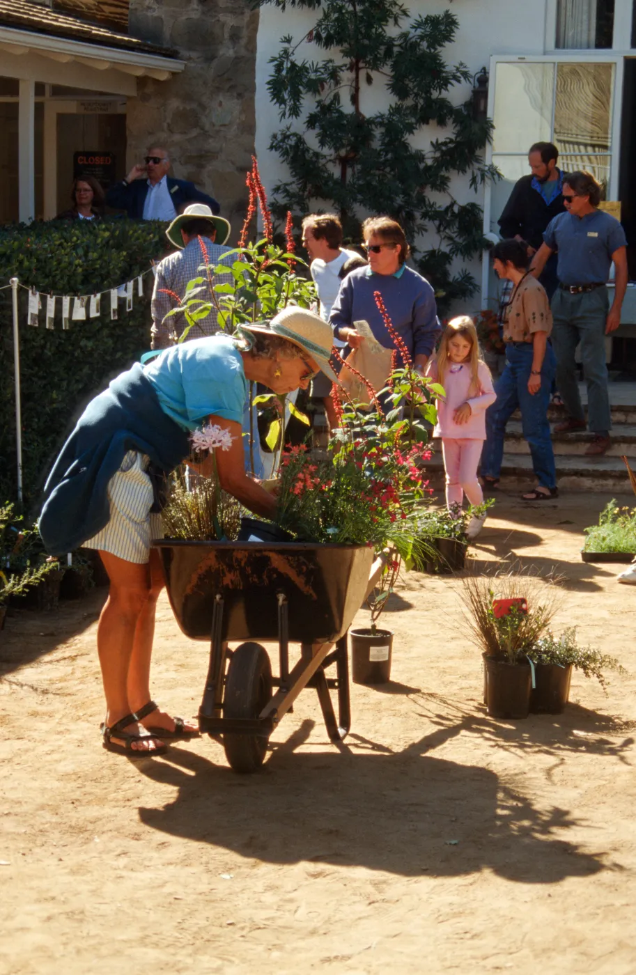 SBBG Fall Plant Sale, 1996