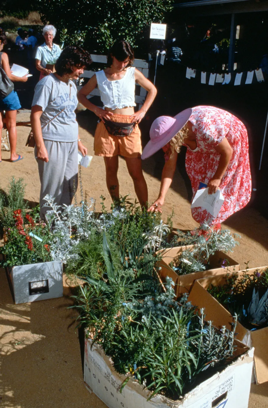 SBBG Fall Plant Sale, 1996