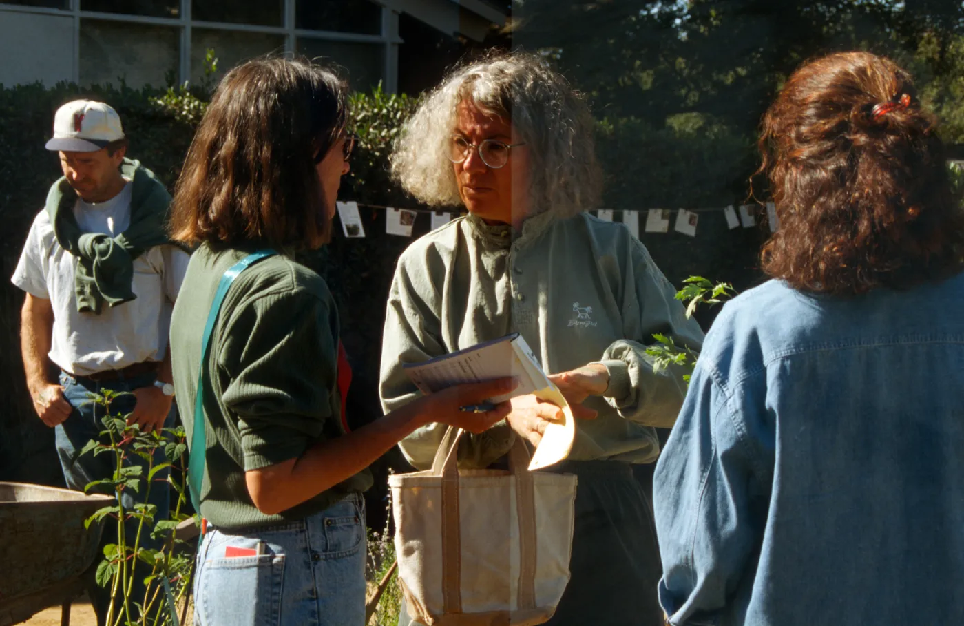 SBBG Fall Plant Sale, 1996