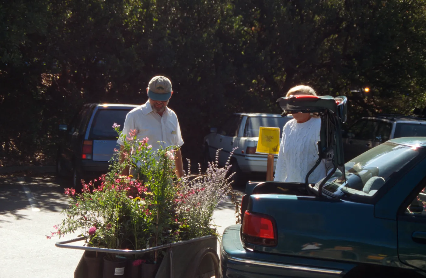 SBBG Fall Plant Sale, 1996