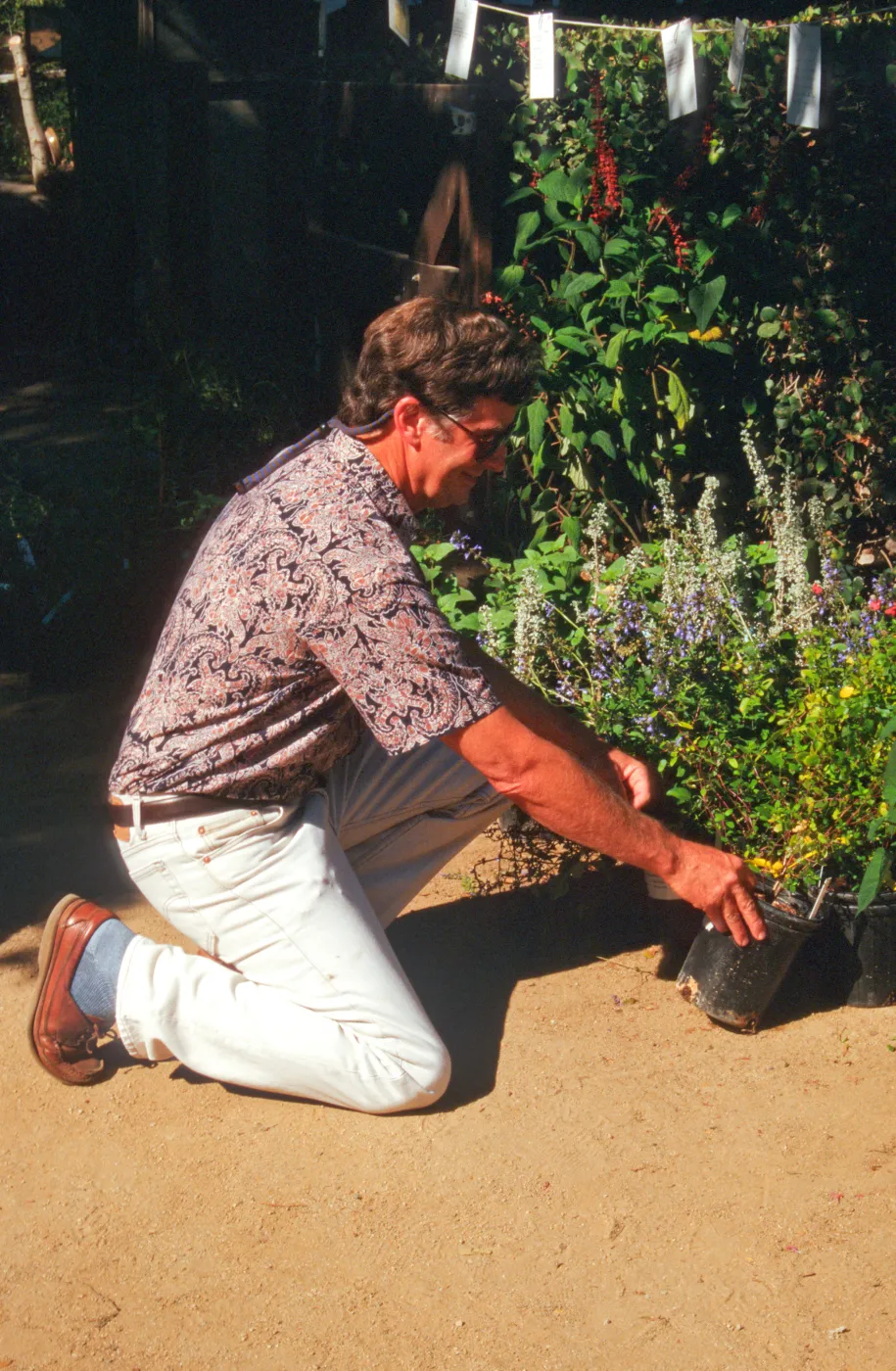 SBBG Fall Plant Sale, 1996
