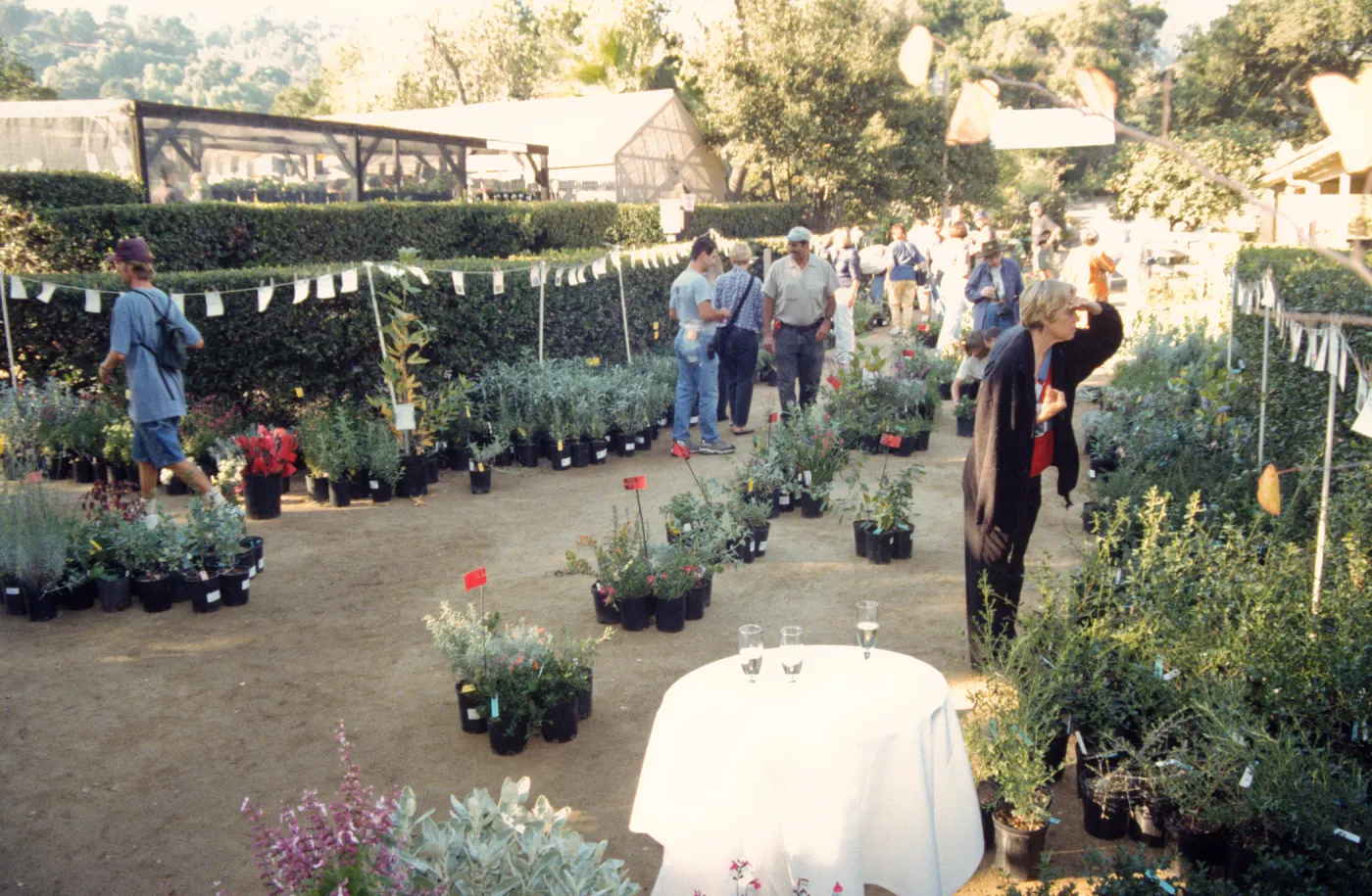 Fall Plant Sale, Preview Party, 2000