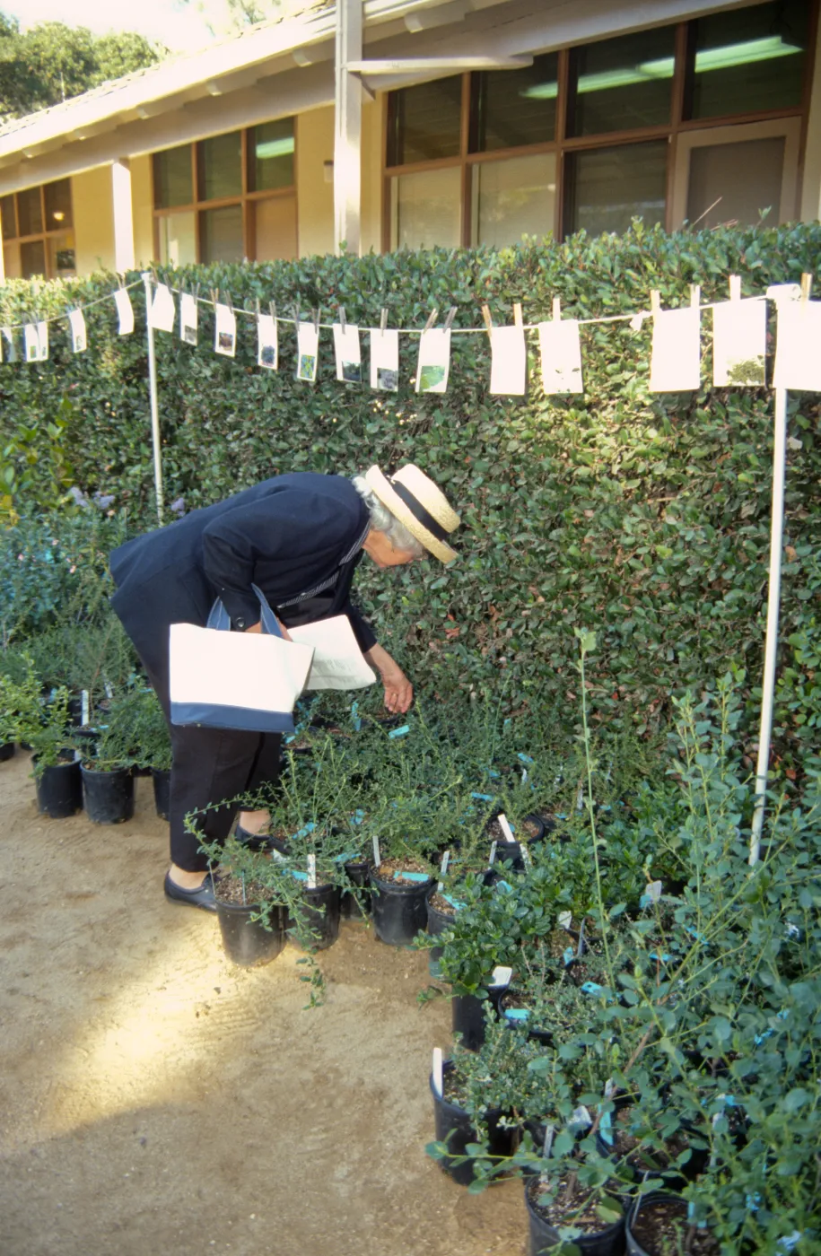 Fall Plant Sale, Preview Party, 2000