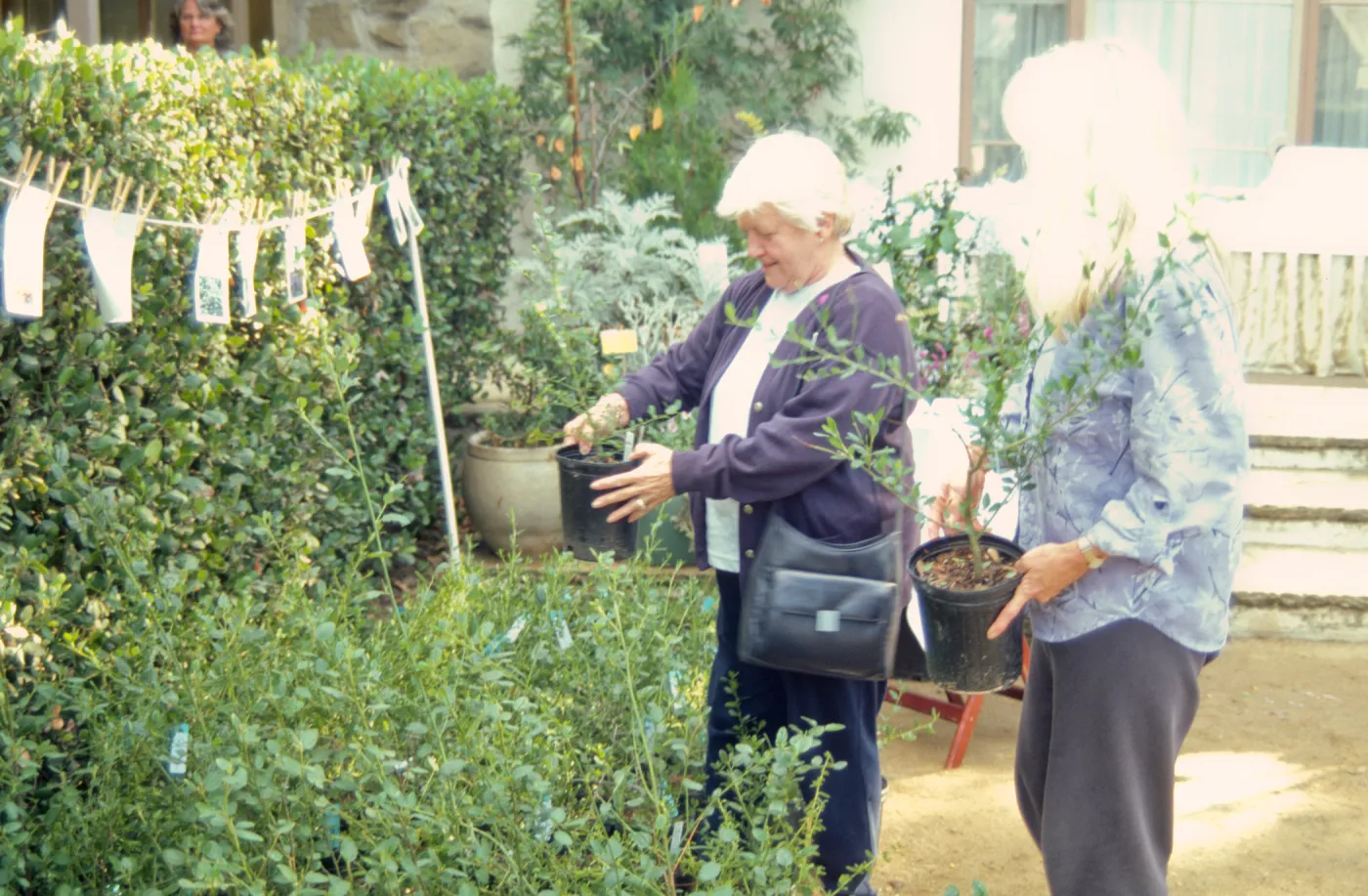 Fall Plant Sale, Preview Party, 2000