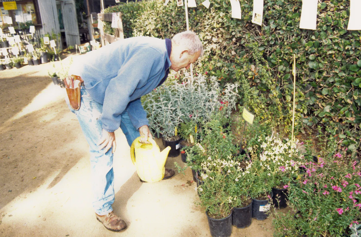 Fall Plant Sale, Preview Party, 2000