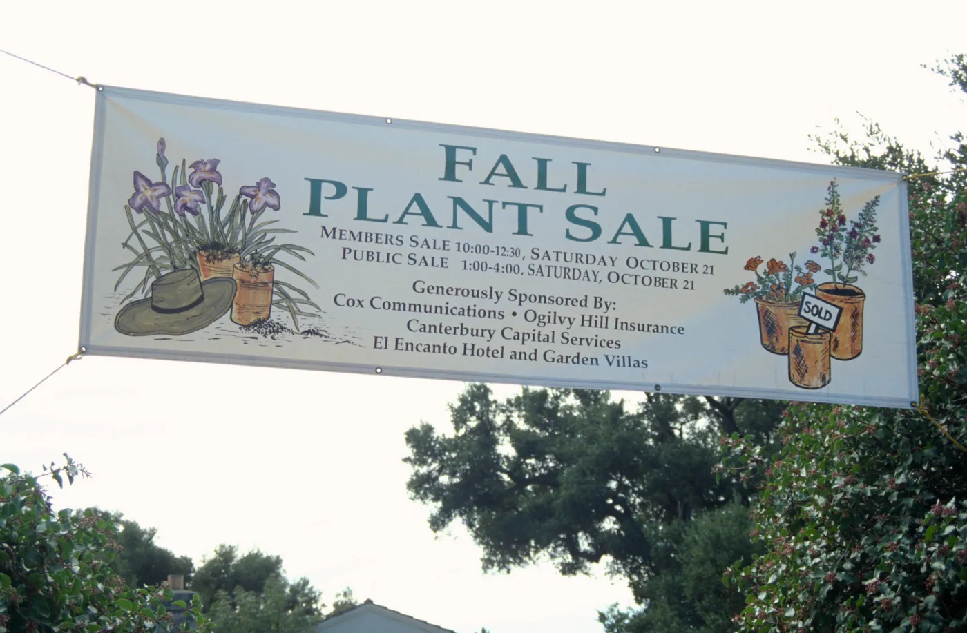 Fall Plant Sale, 2000