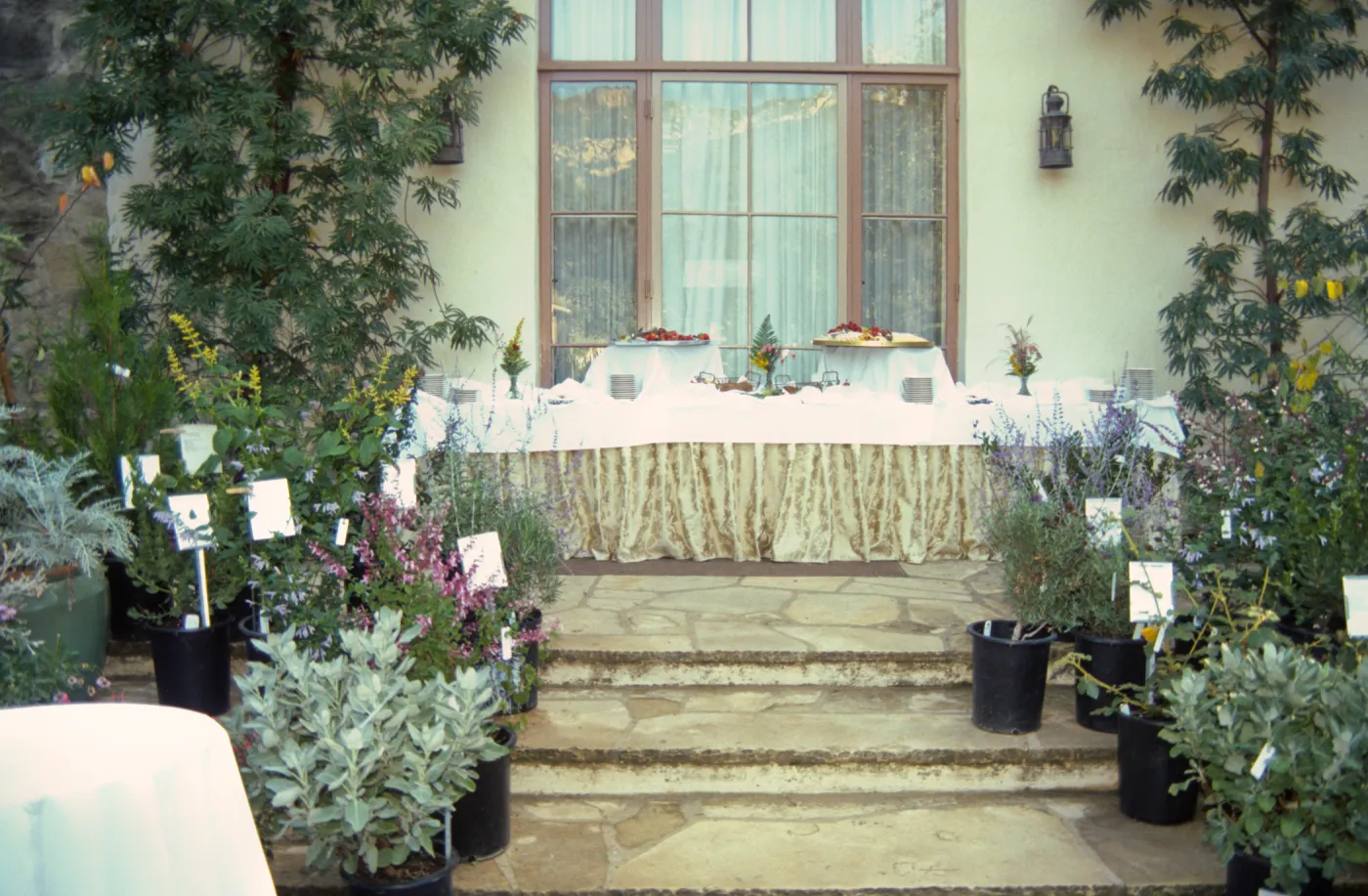 Fall Plant Sale, 2000