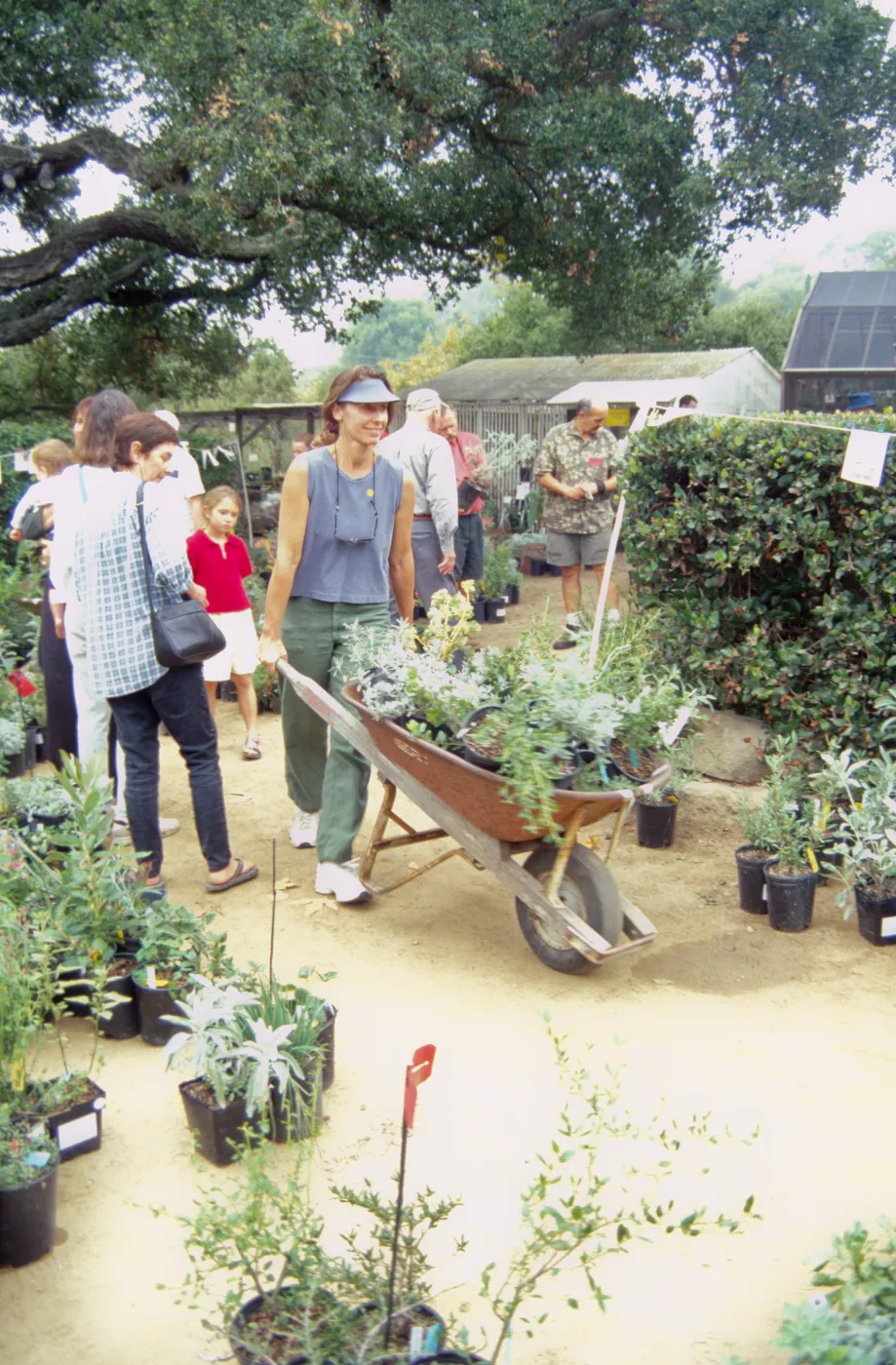 Fall Plant Sale, 2000
