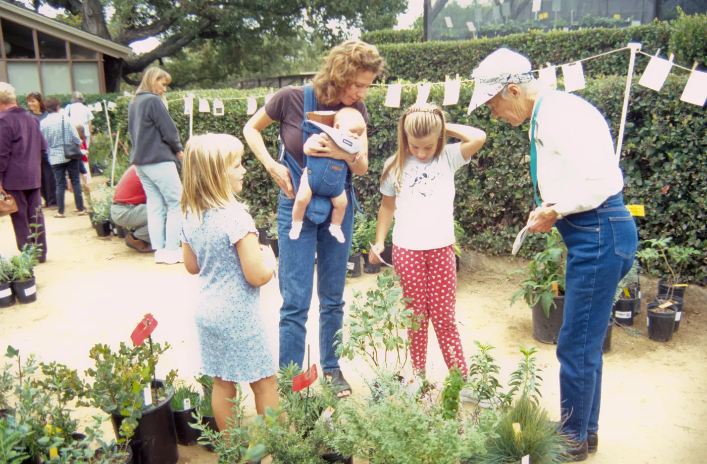 Fall Plant Sale, 2000