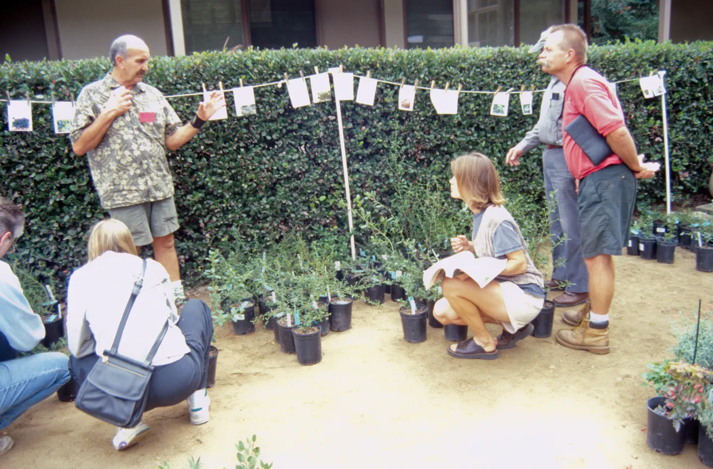 Fall Plant Sale, 2000