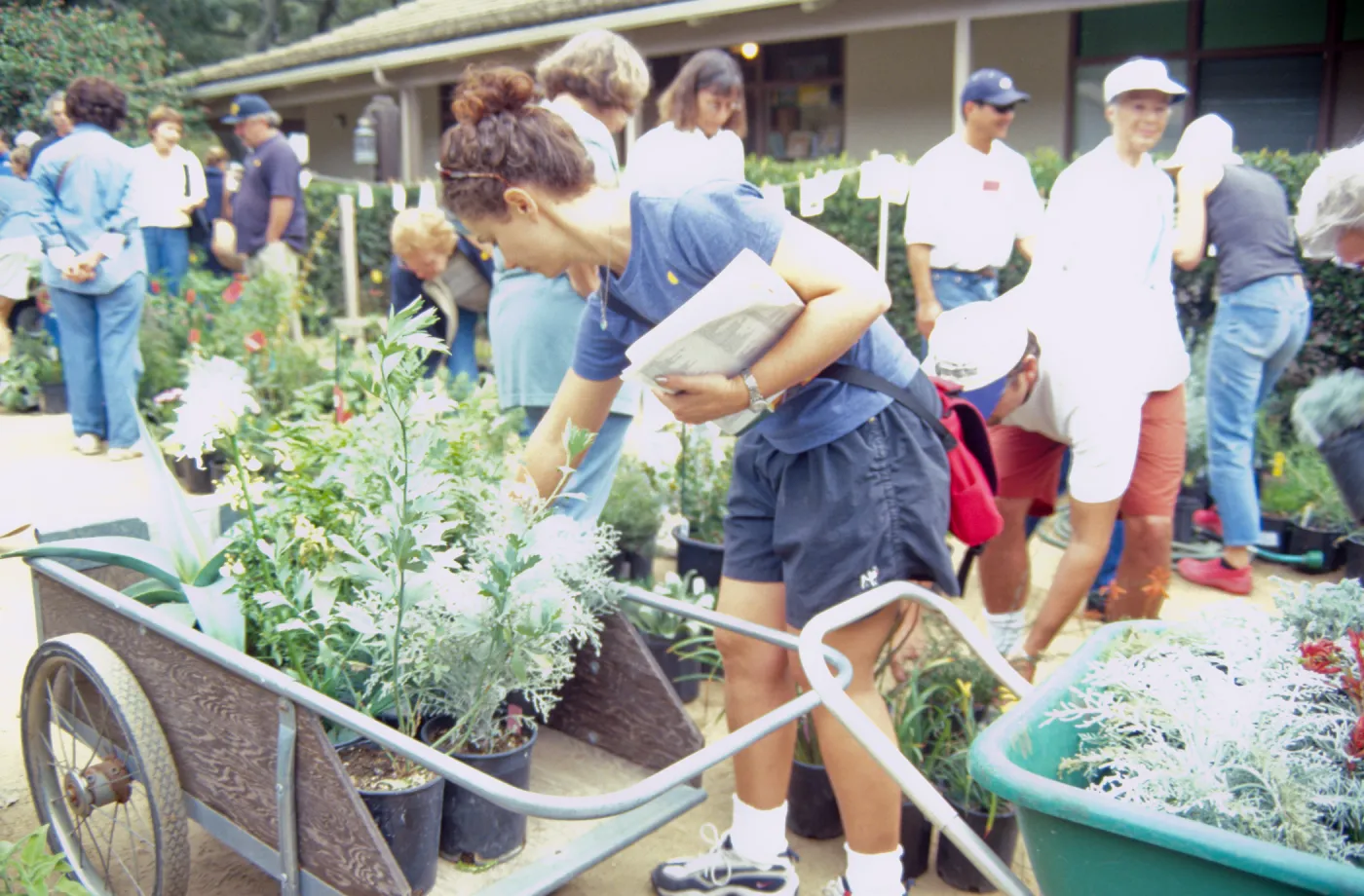 Fall Plant Sale, 2000