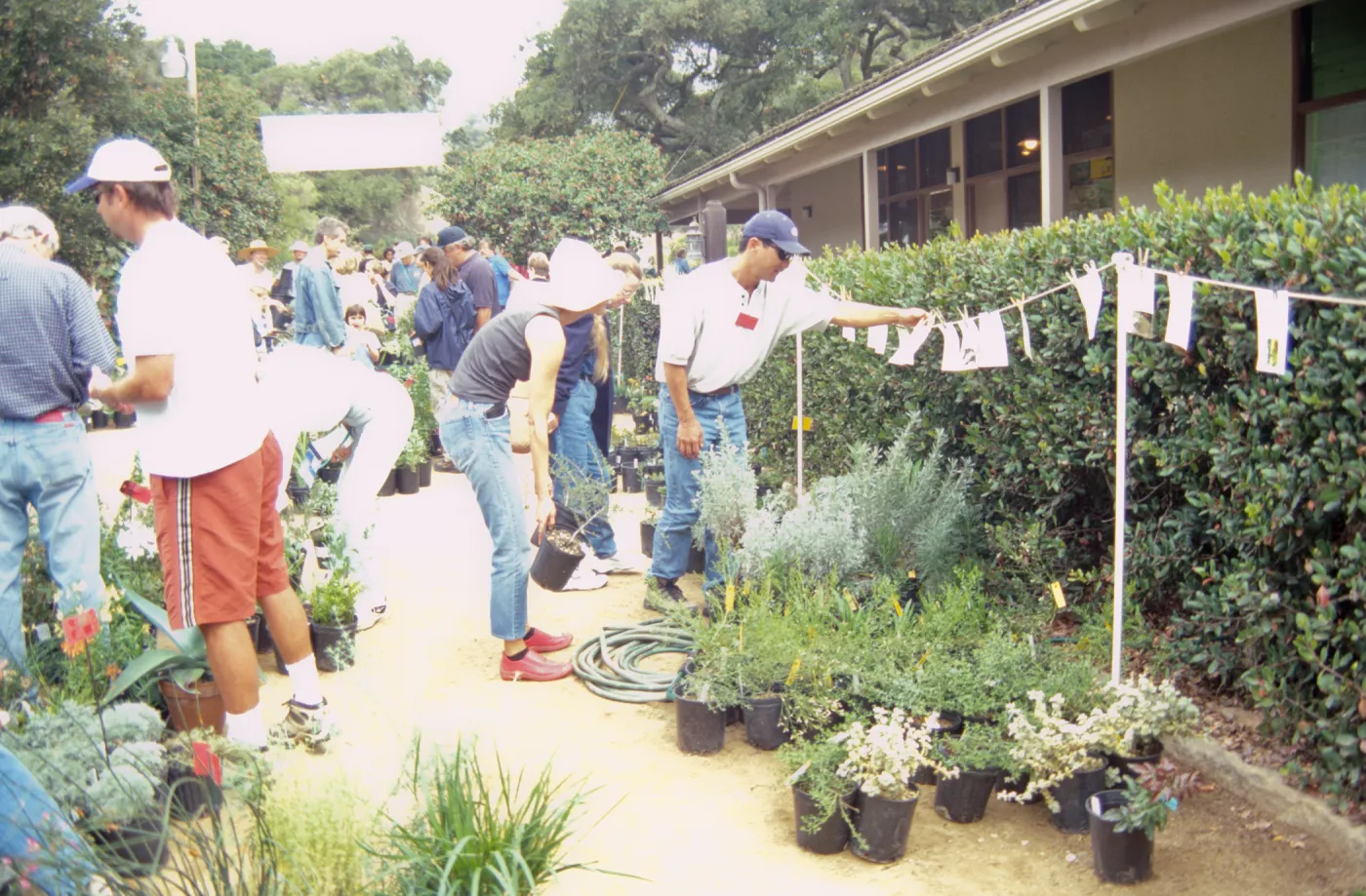 Fall Plant Sale, 2000