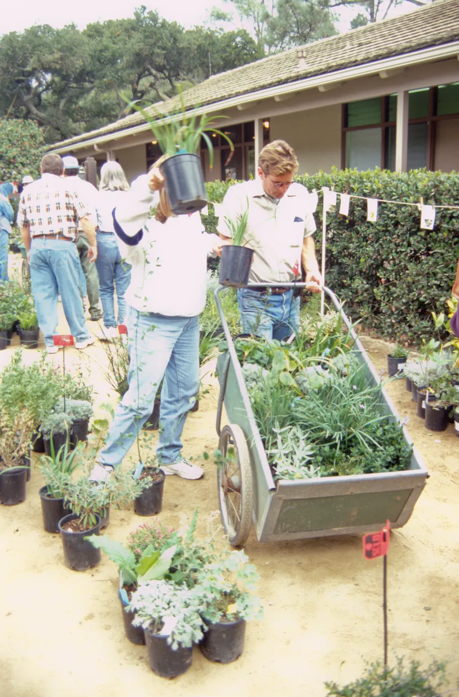 Fall Plant Sale, 2000