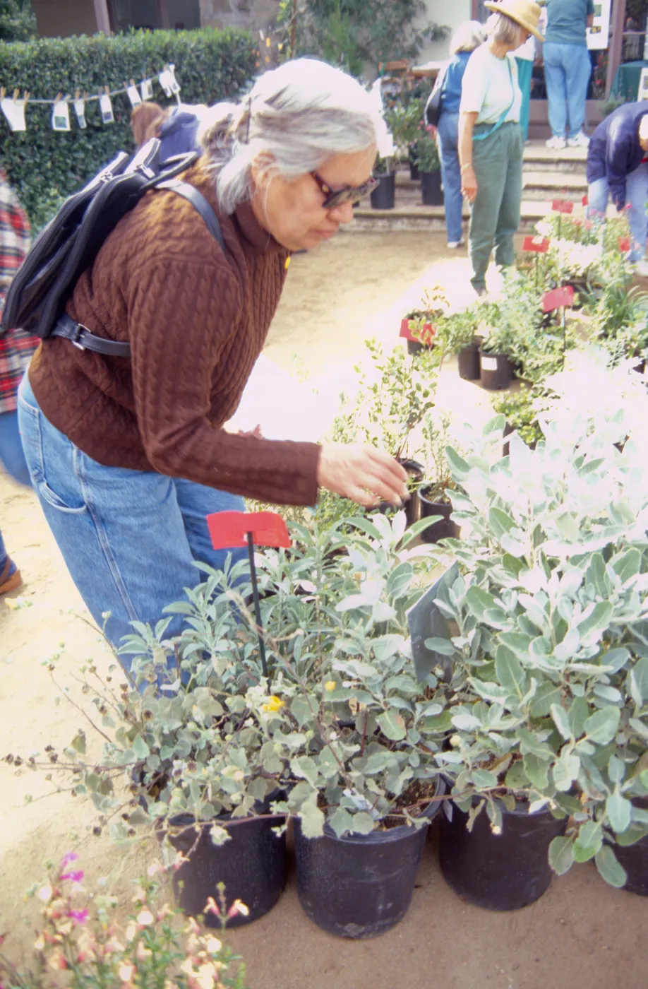 Fall Plant Sale, 2000