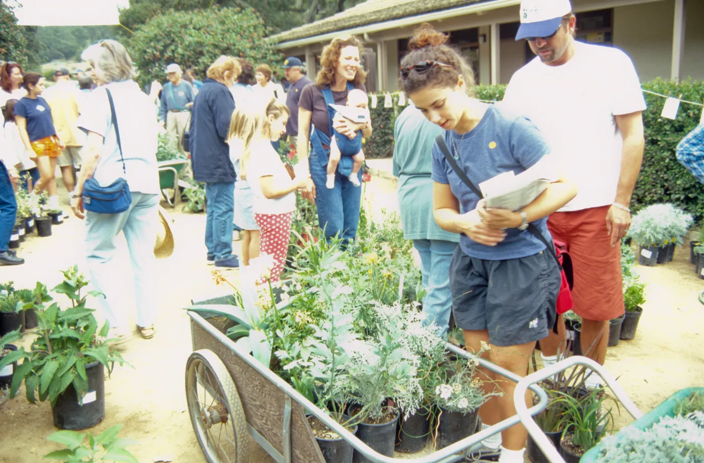 Fall Plant Sale, 2000