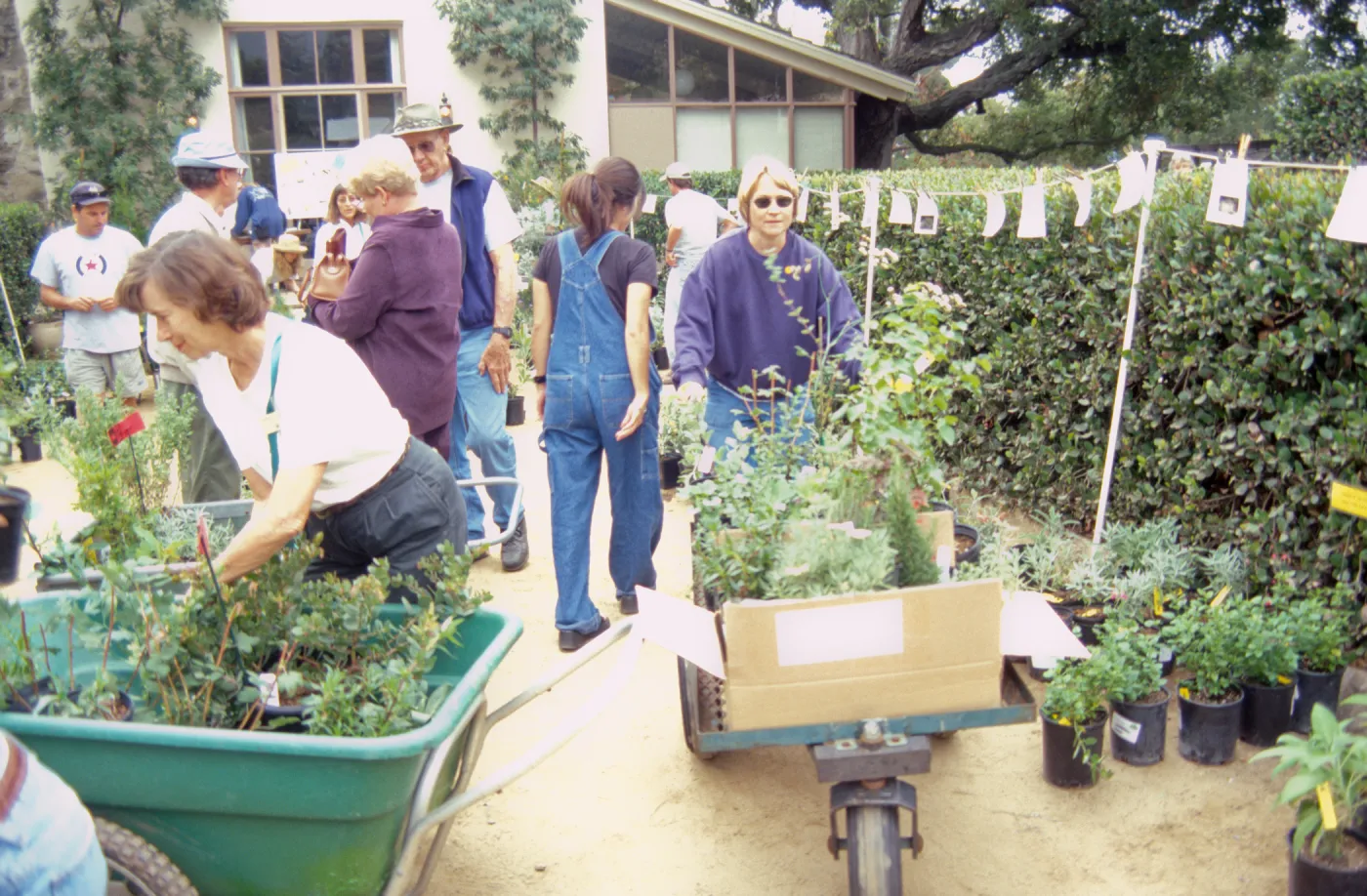 Fall Plant Sale, 2000