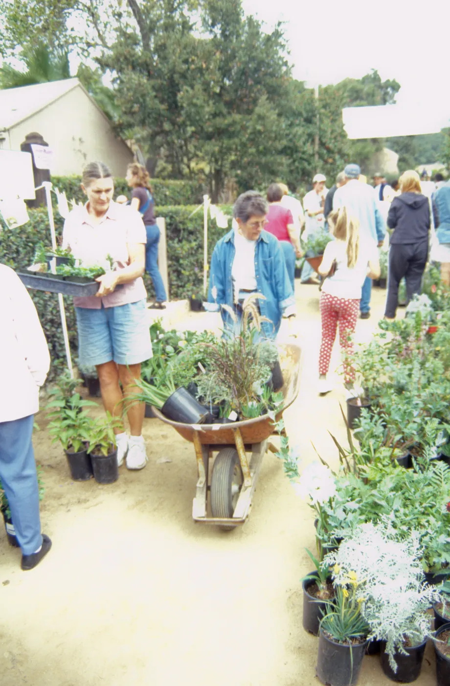Fall Plant Sale, 2000