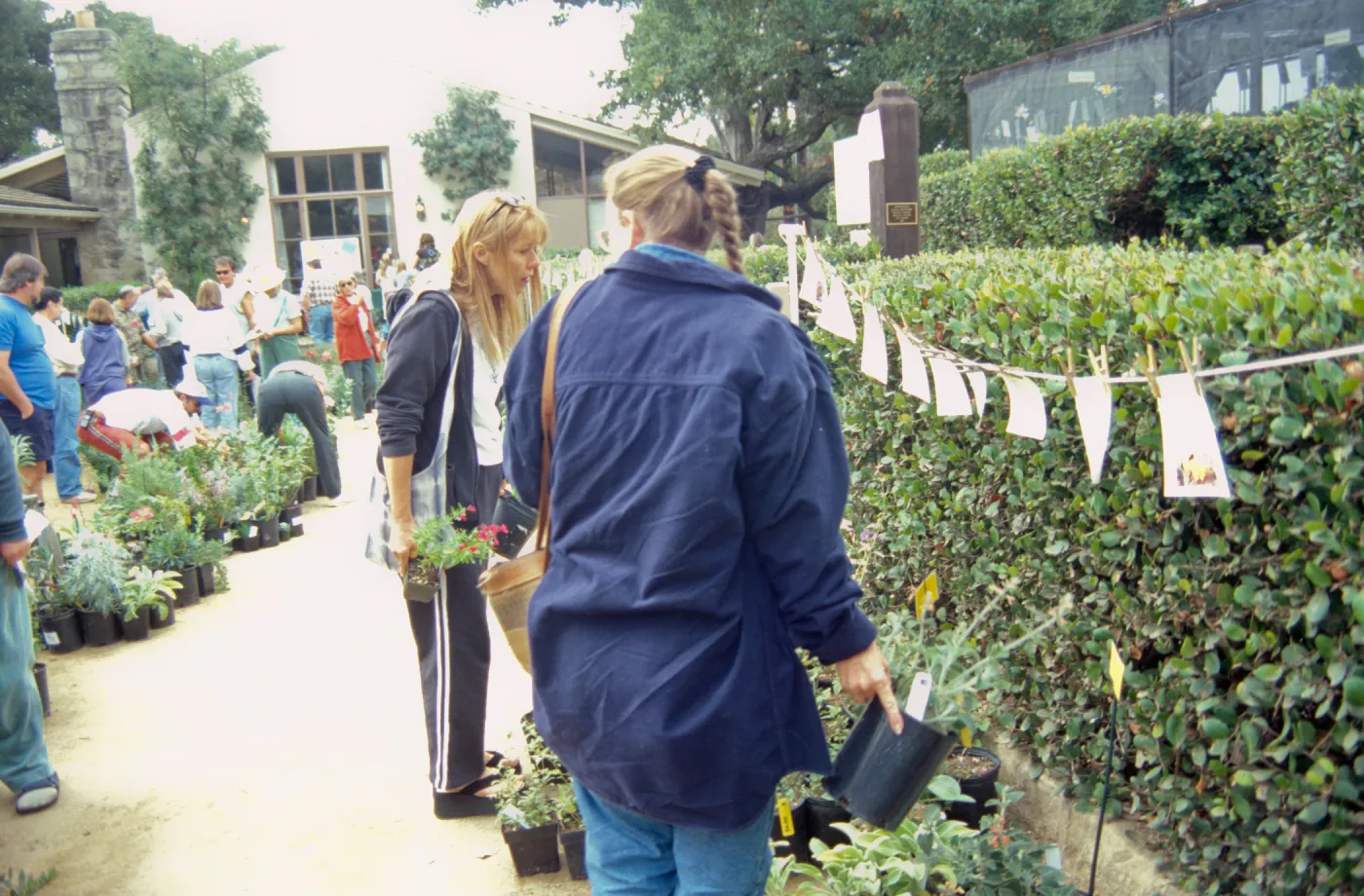 Fall Plant Sale, 2000