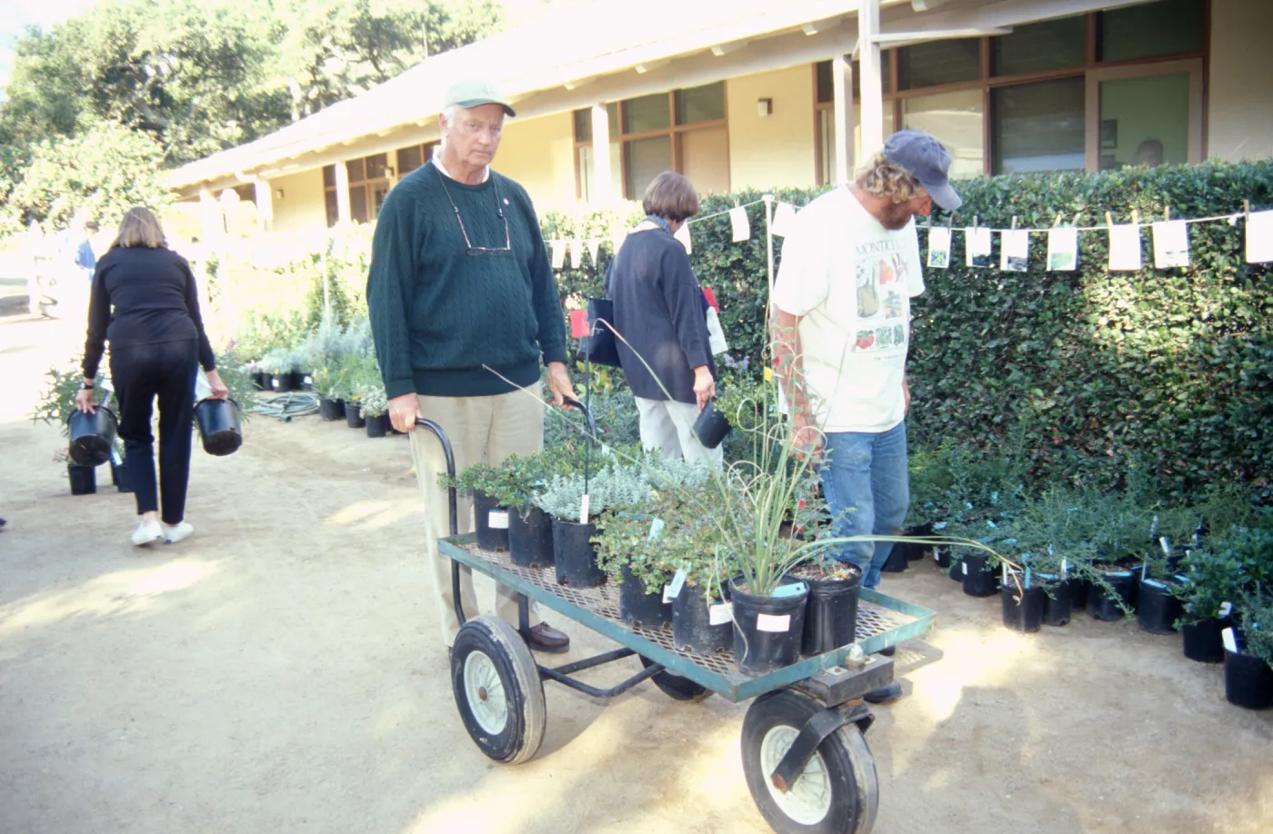 Fall Plant Sale, 2000
