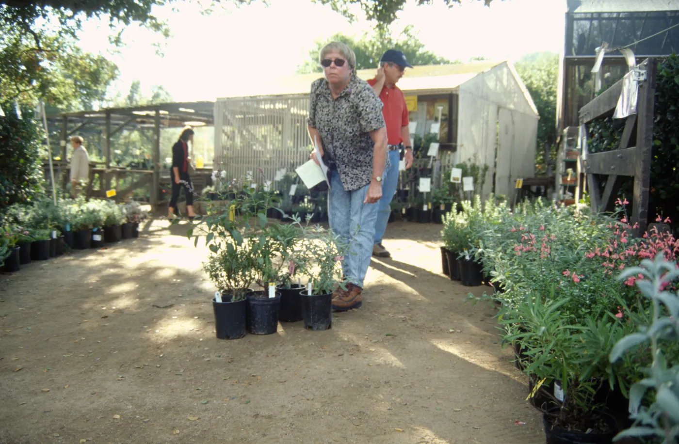 Fall Plant Sale, 2000