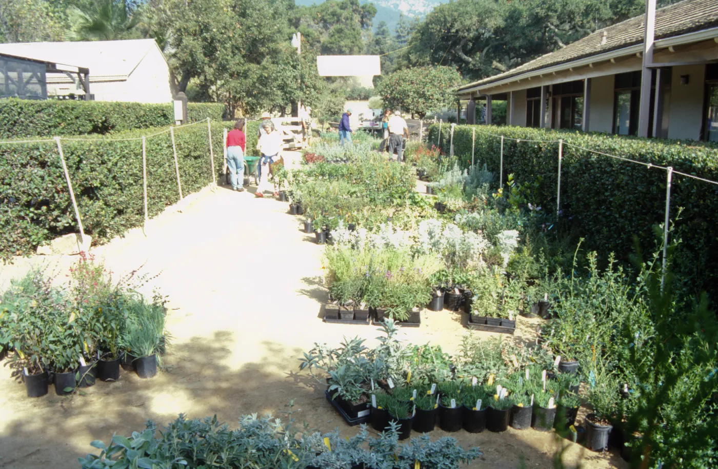 Fall Plant Sale, 2000