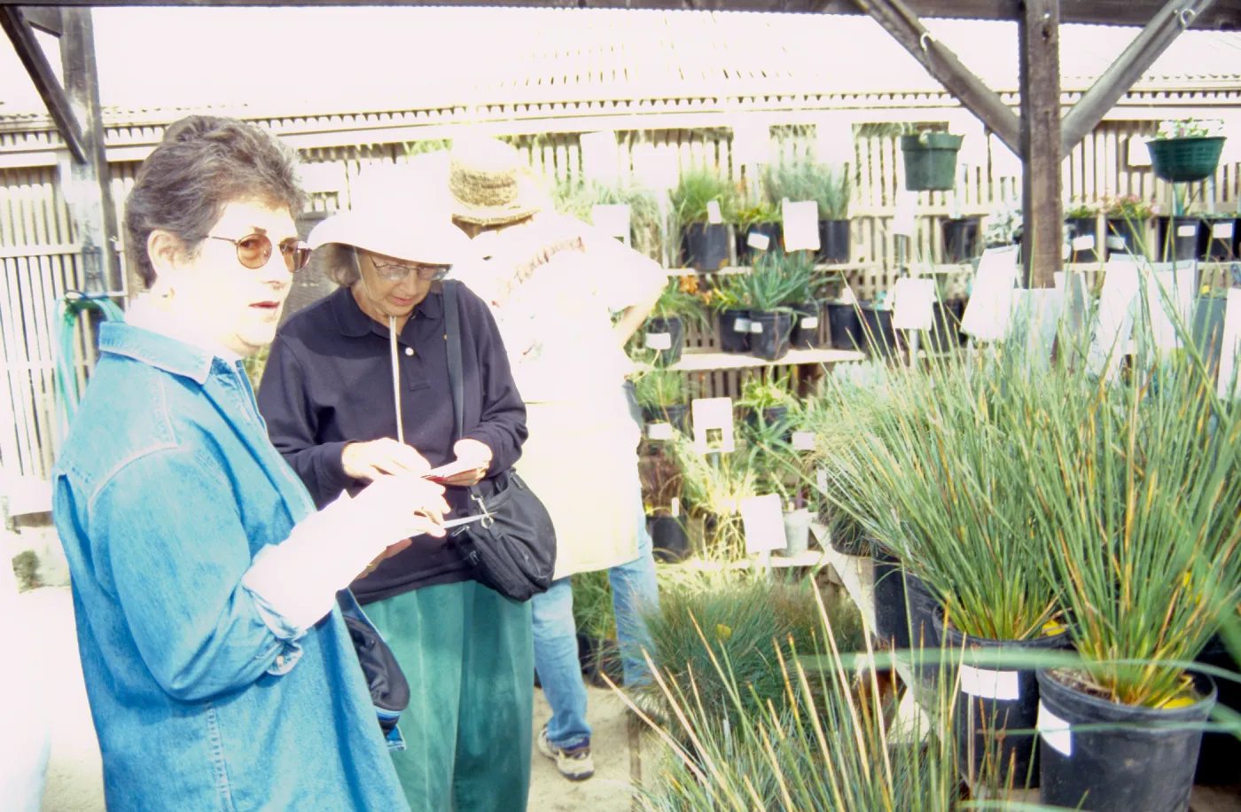 Fall Plant Sale, 2000