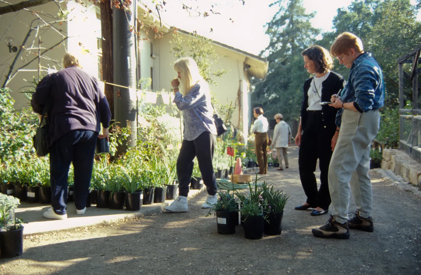 Fall Plant Sale, 2000