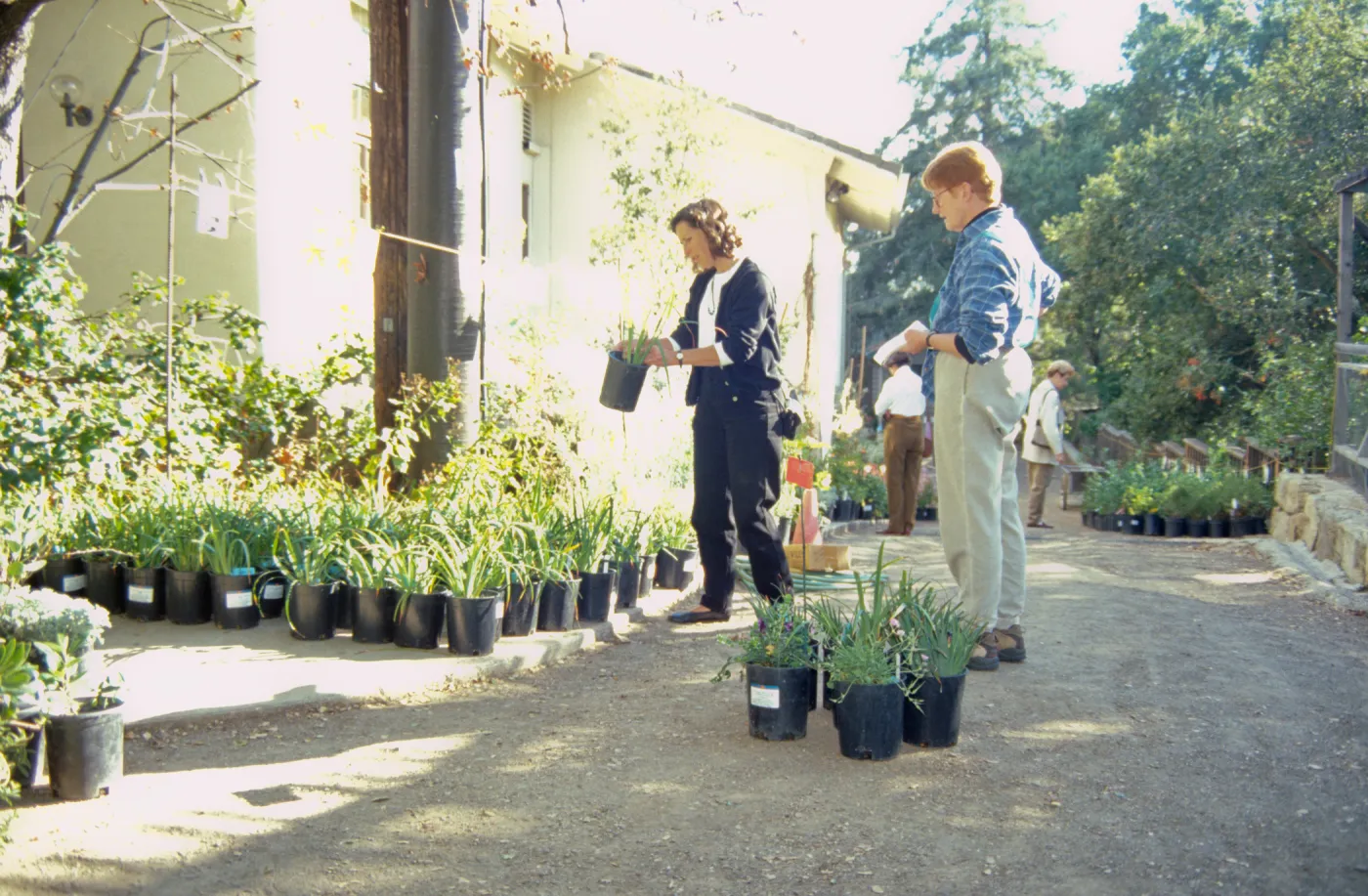 Fall Plant Sale, 2000