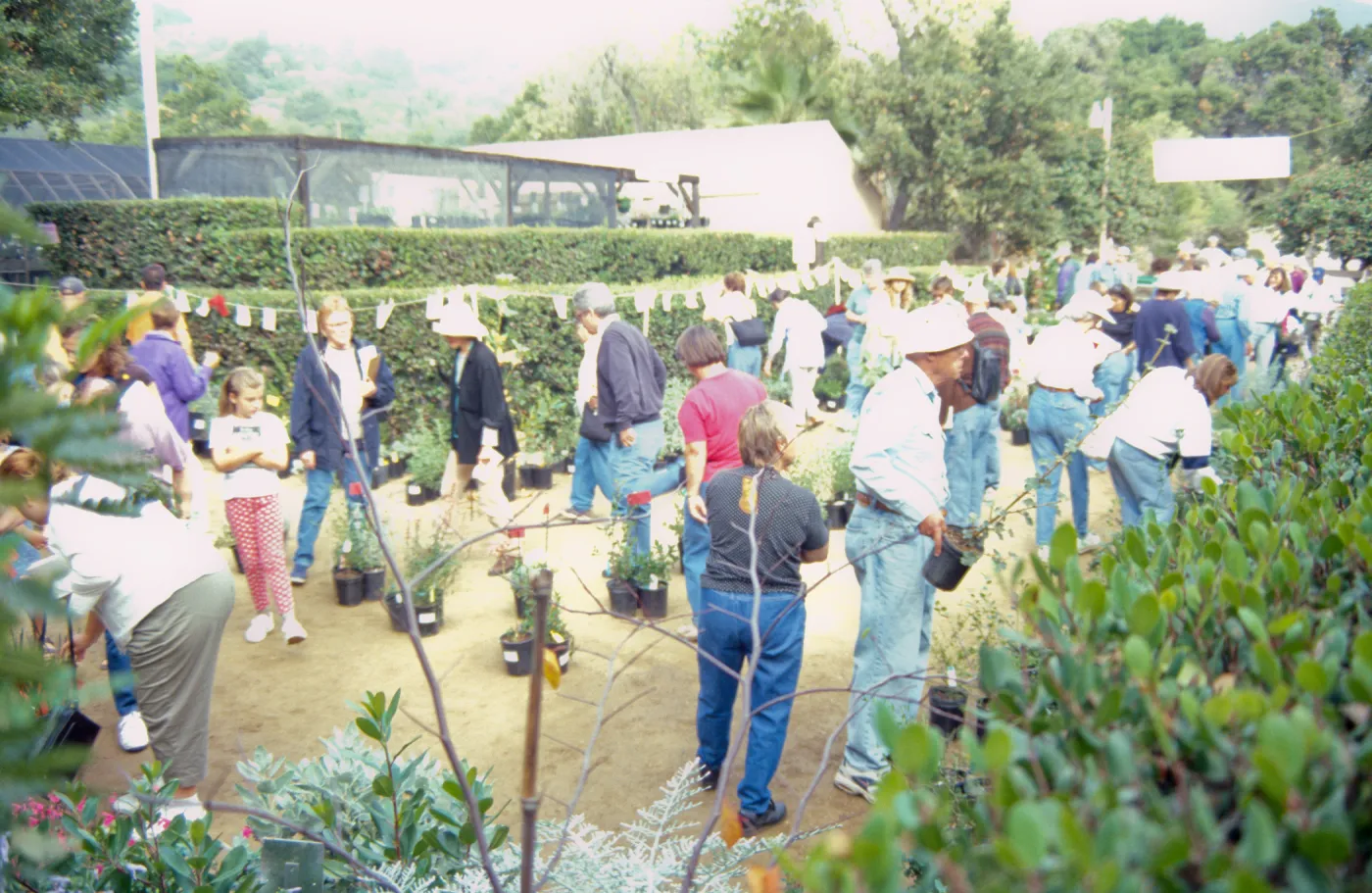 Fall Plant Sale, 2000
