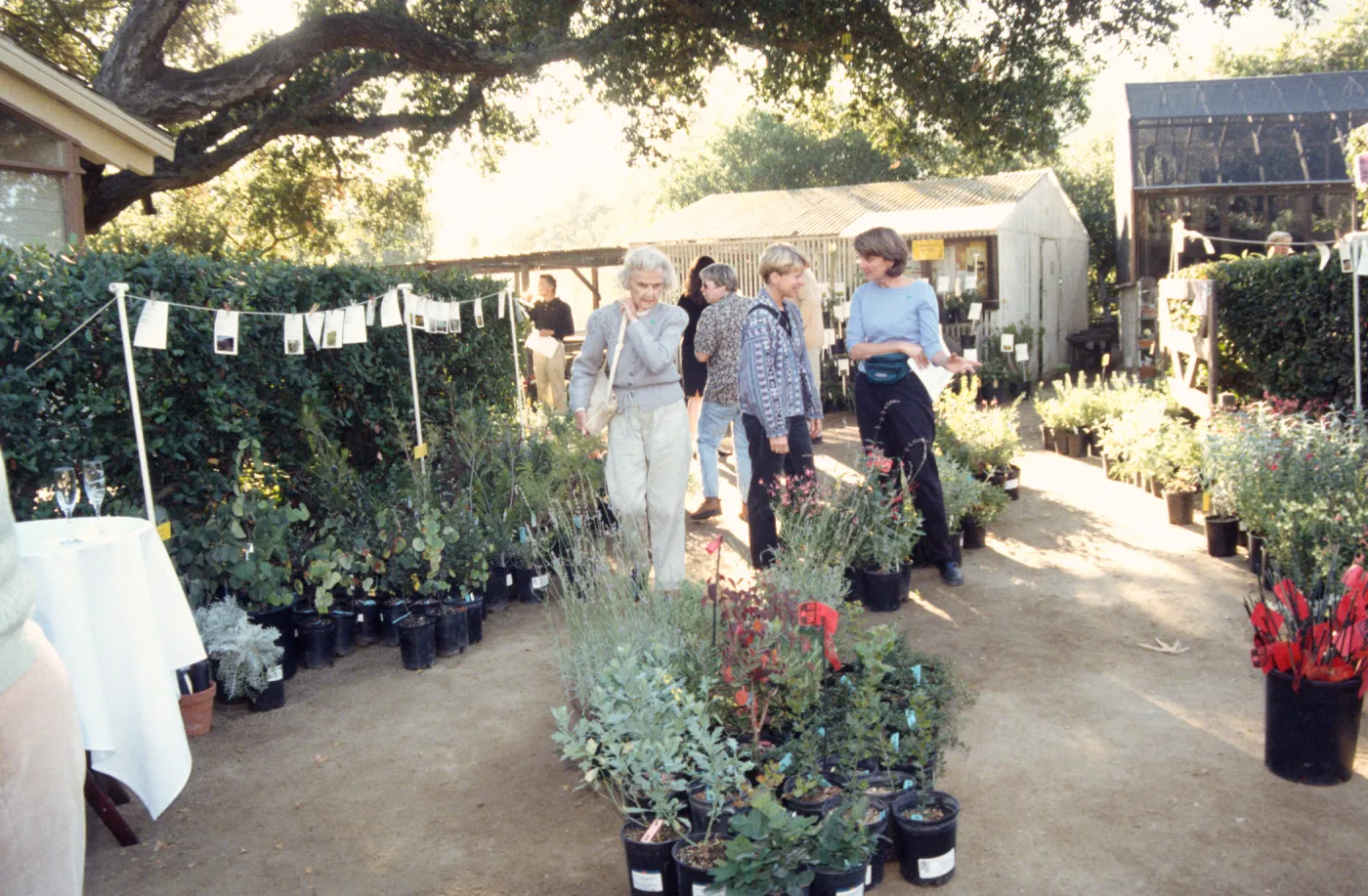 Fall Plant Sale, 2000