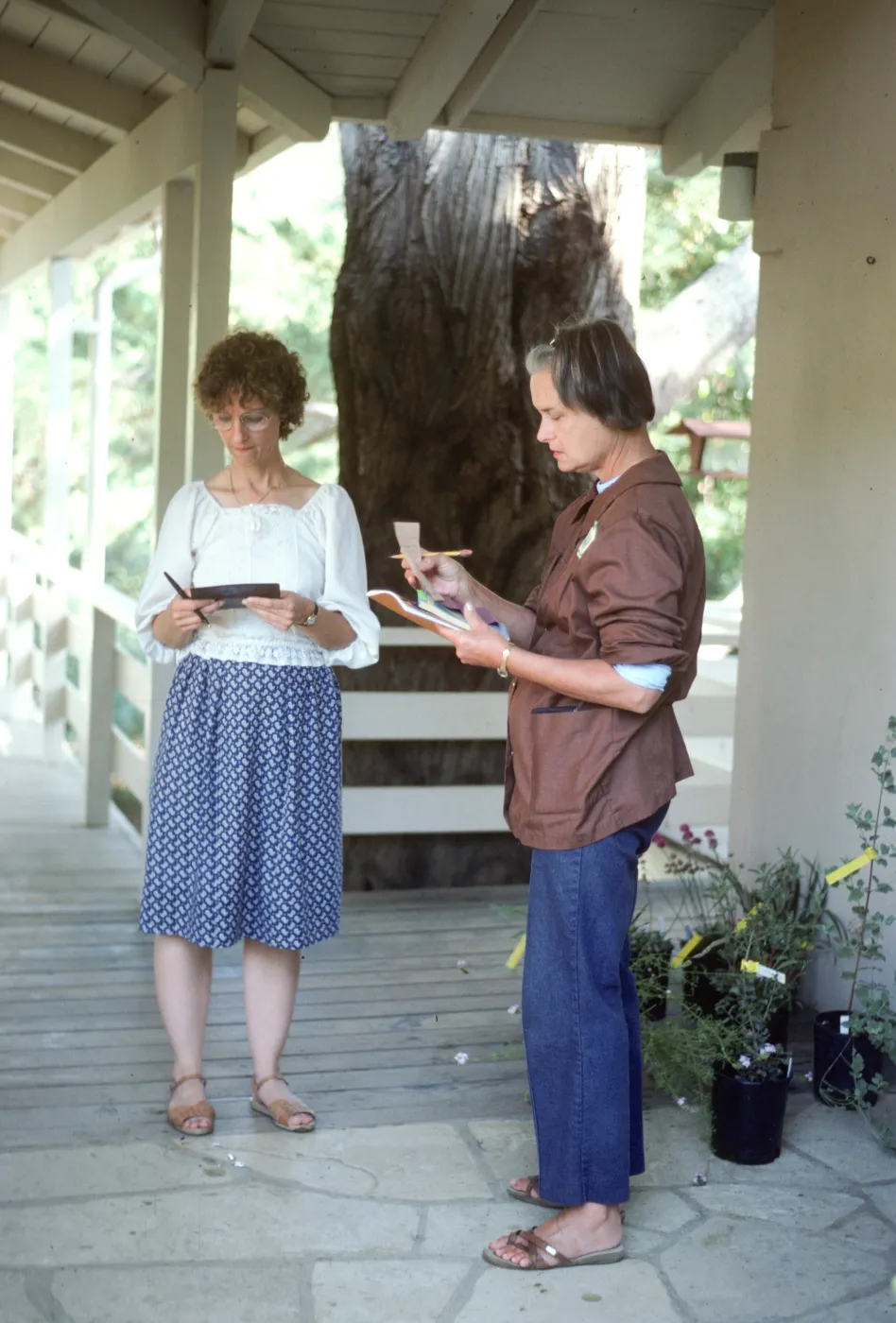 Fall Plant Sale, 1985