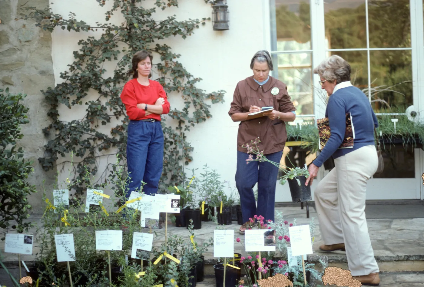 Fall Plant Sale, 1985