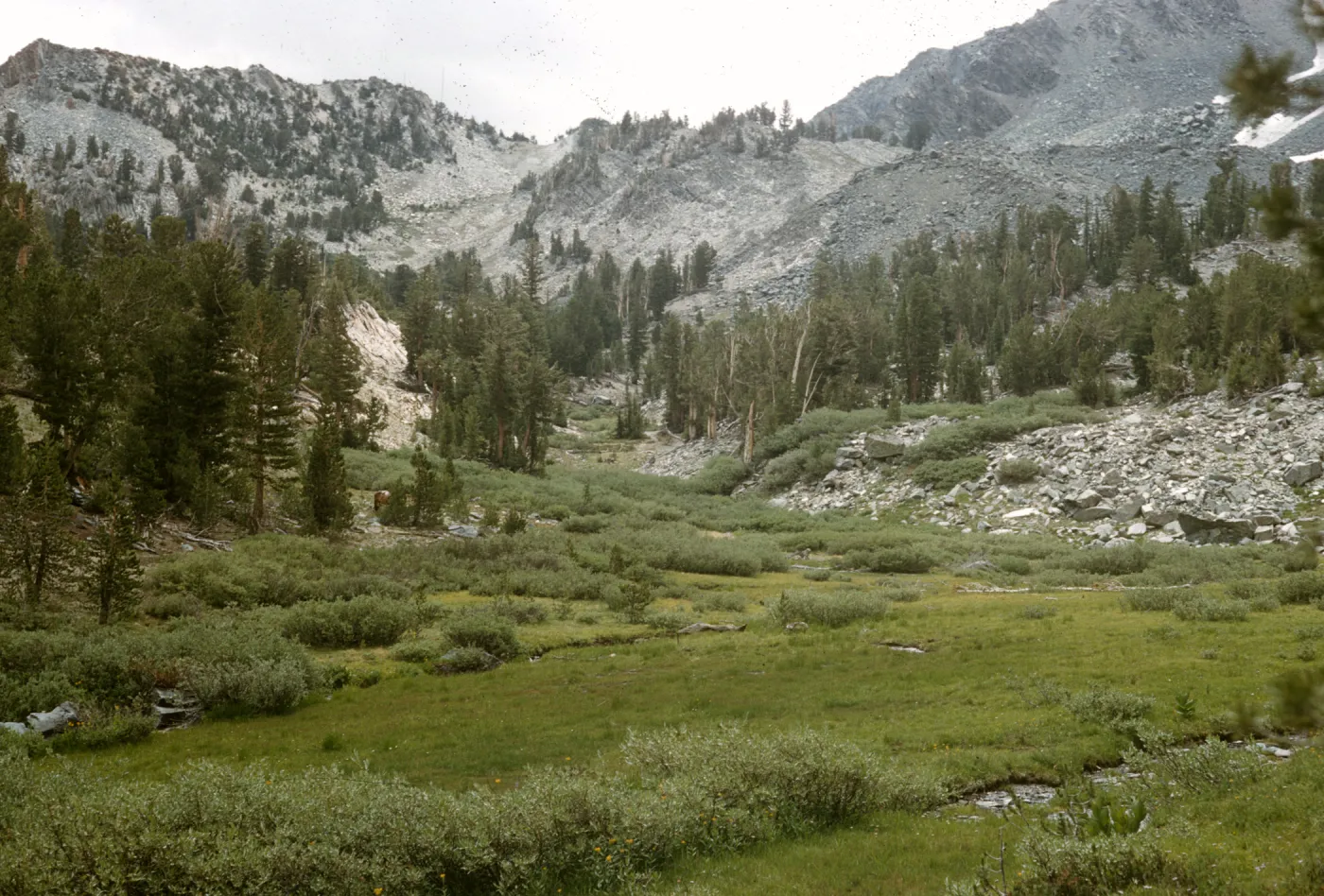 Sky Meadows,Mammoth Lakes