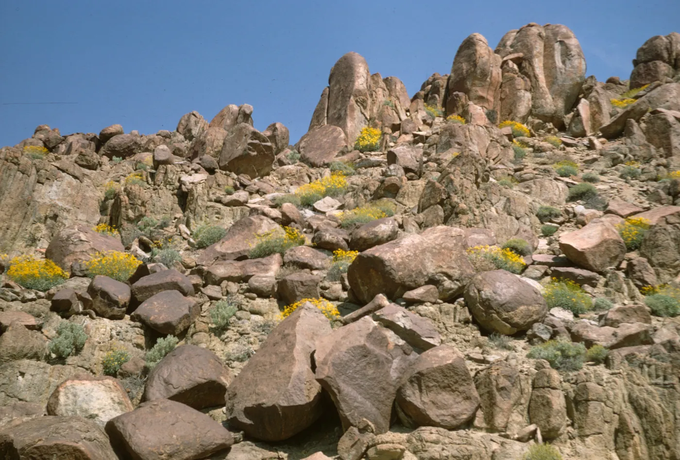 Antelope Valley