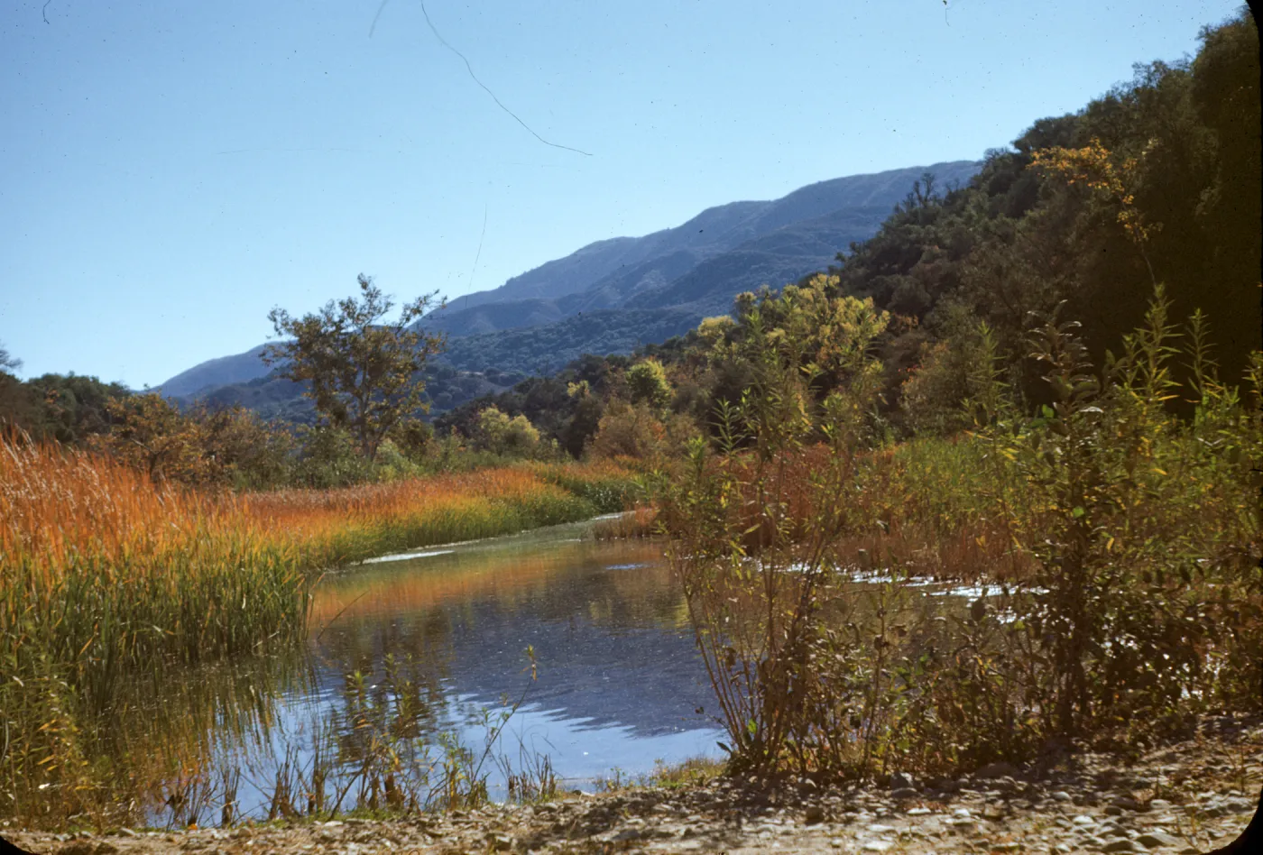 Lower Oso pond