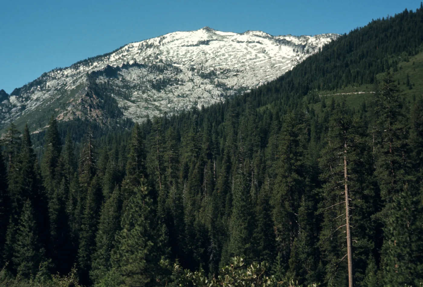 Caribou Mountain from Mt Meadow Ranch