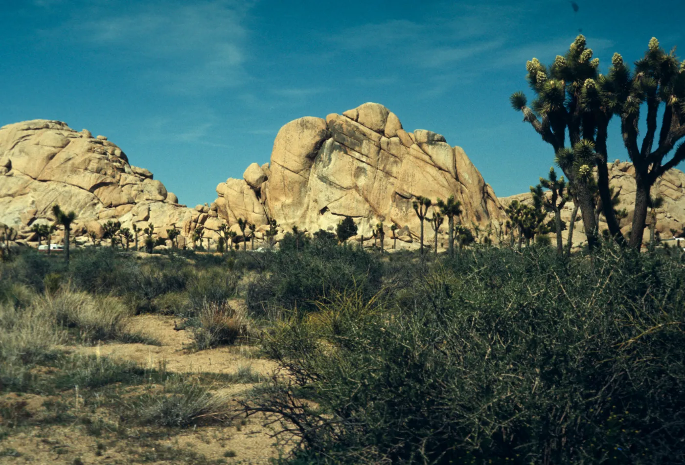 Hidden Valley, Joshua Tree National Monument