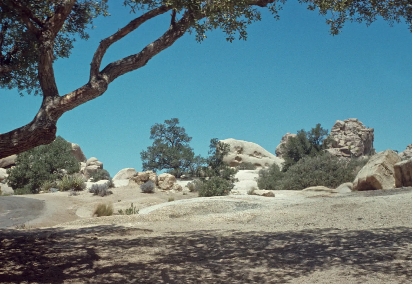 Hidden Valley Camp, Joshua Tree National Monument
