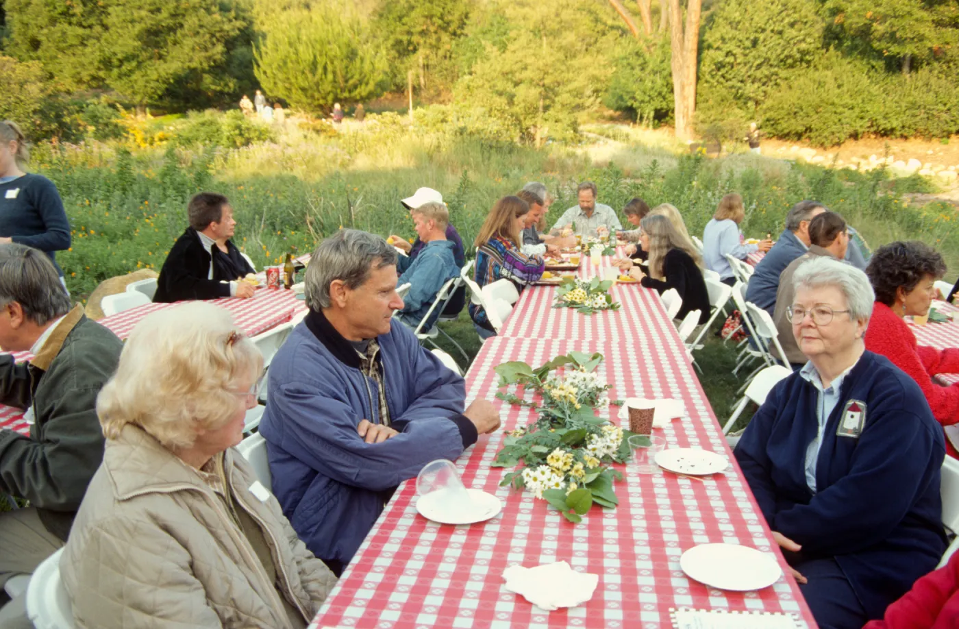 SBBG Members BBQ, 2001, tables in the Meadow