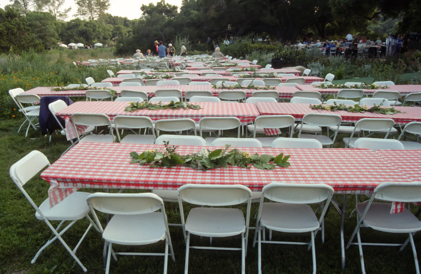 SBBG Members BBQ, 2001, tables in the Meadow