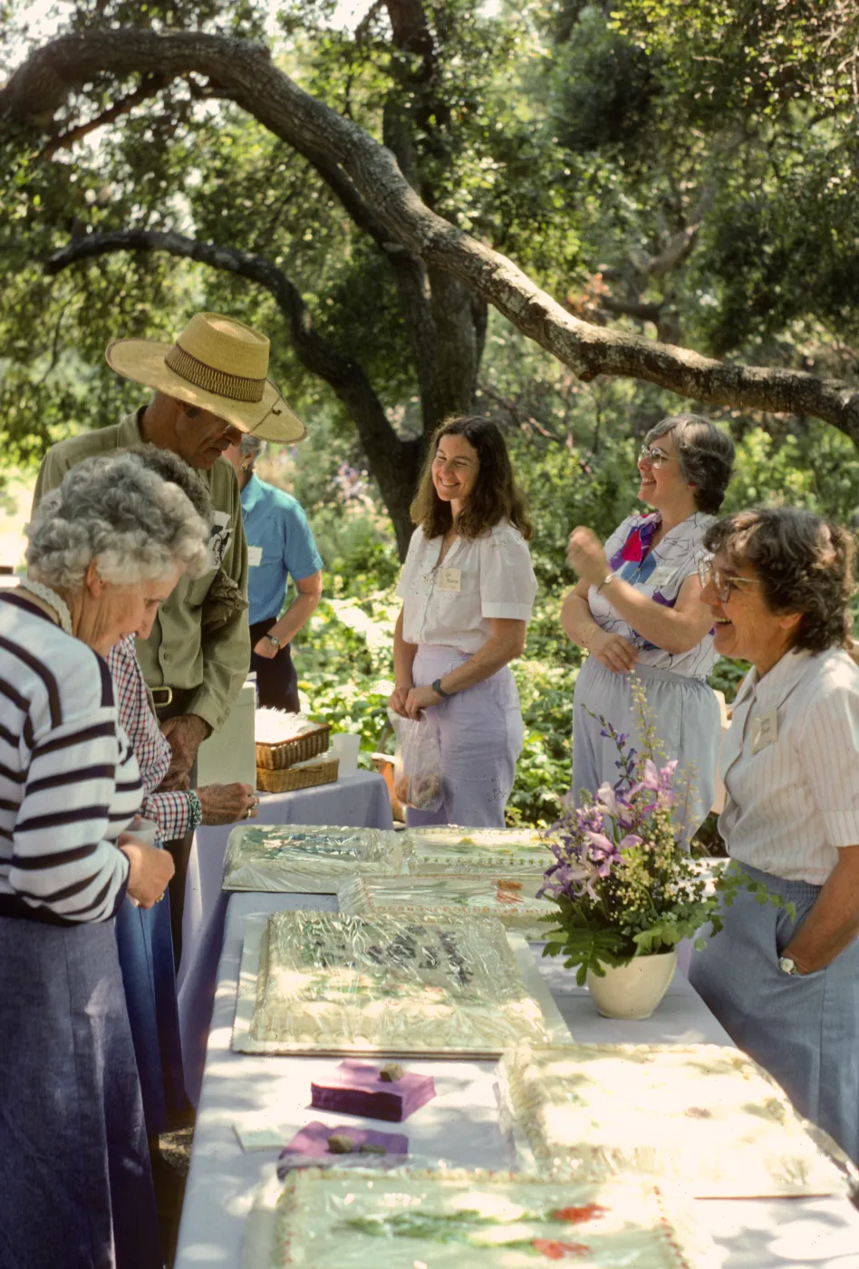 SBBG Members Day Picnic, 1986, the cake table, under the oaks