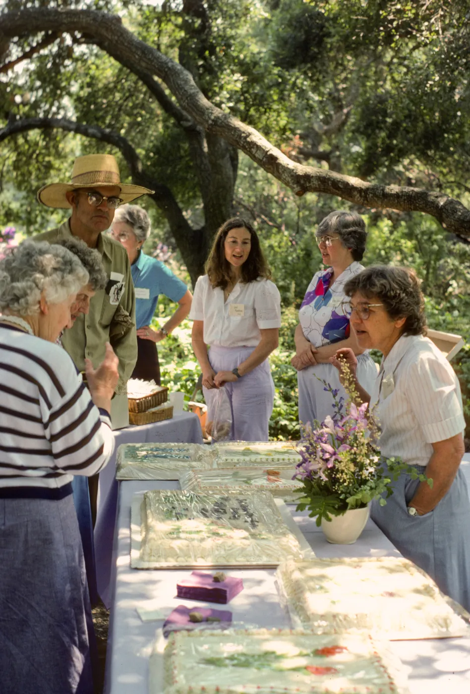 SBBG Members Day Picnic, 1986, under the oaks, the cake table
