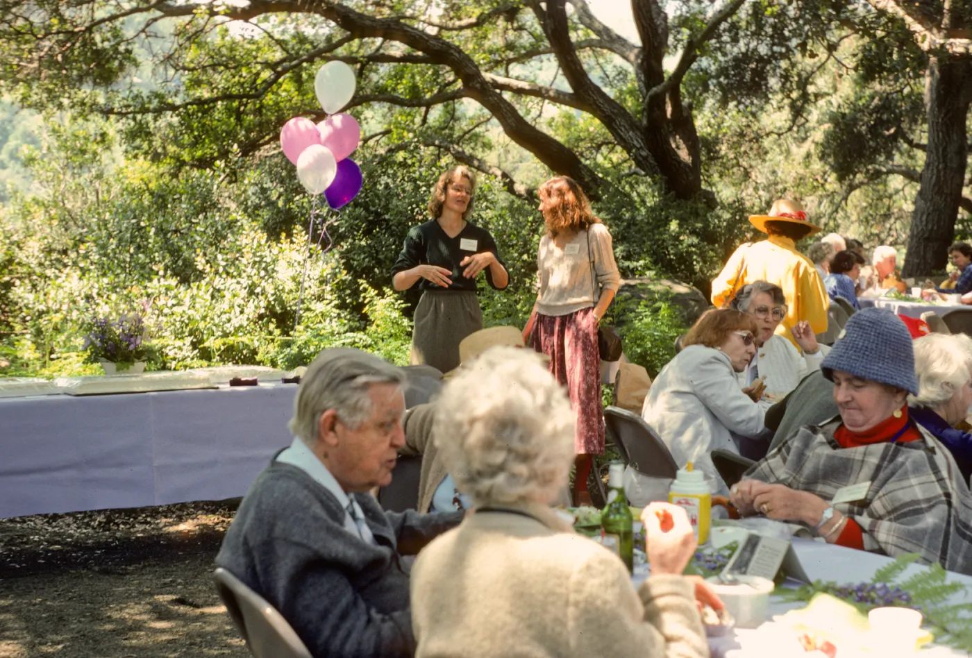 SBBG Members Day Picnic, 1986, under the oaks